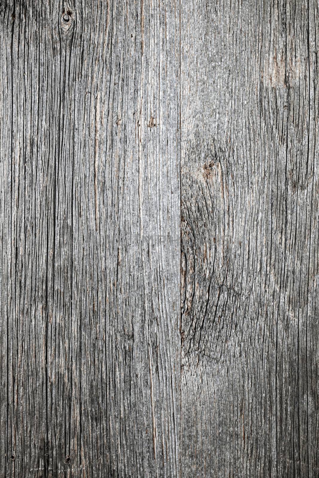 Weathered distressed rustic barn wood as textured background