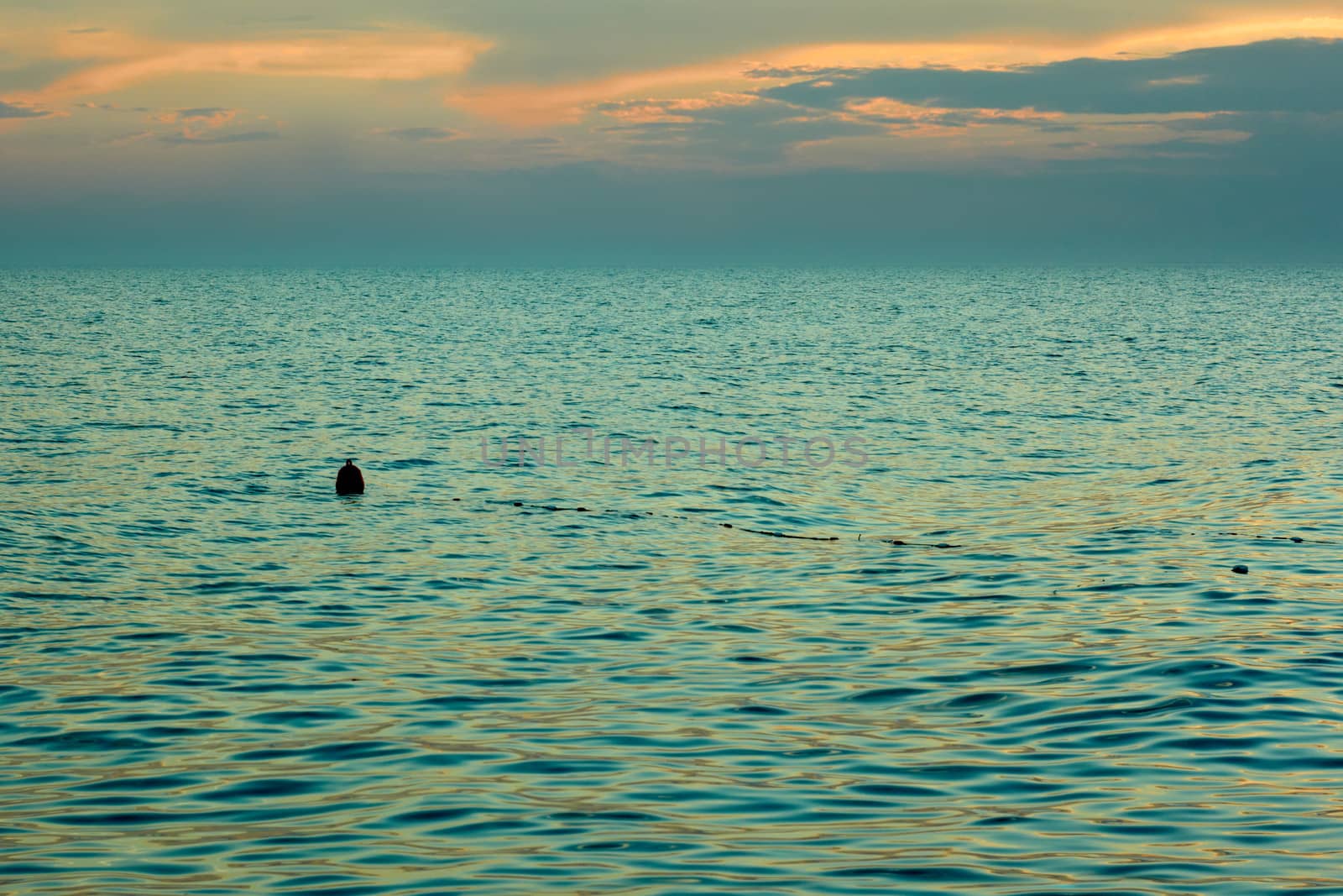 Yellow-orange clouds reflected in sea surface after sunset. Float the bounding coastal sways on the waves