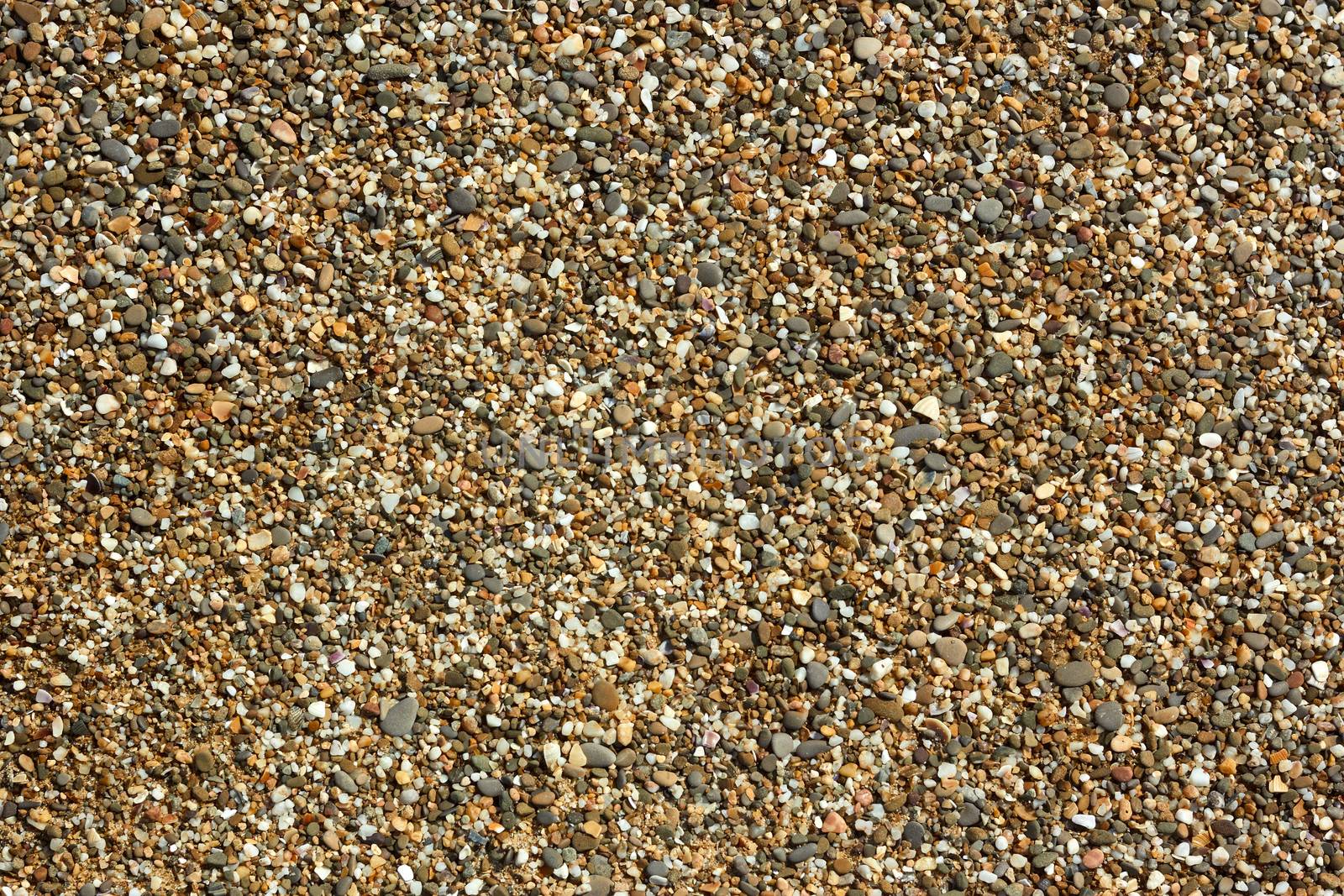 Fragment of beach pebble with small colored pebbles, stones and shells detail close-up in bright sunlight