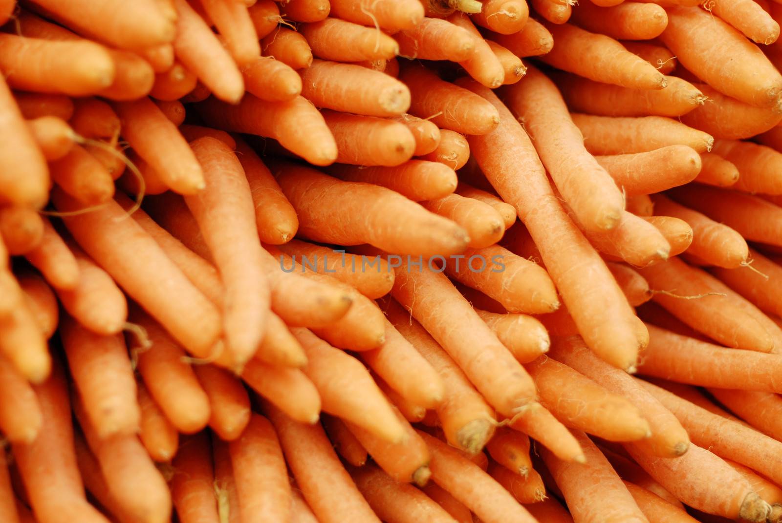 Fresh carrots piled high on a market stall