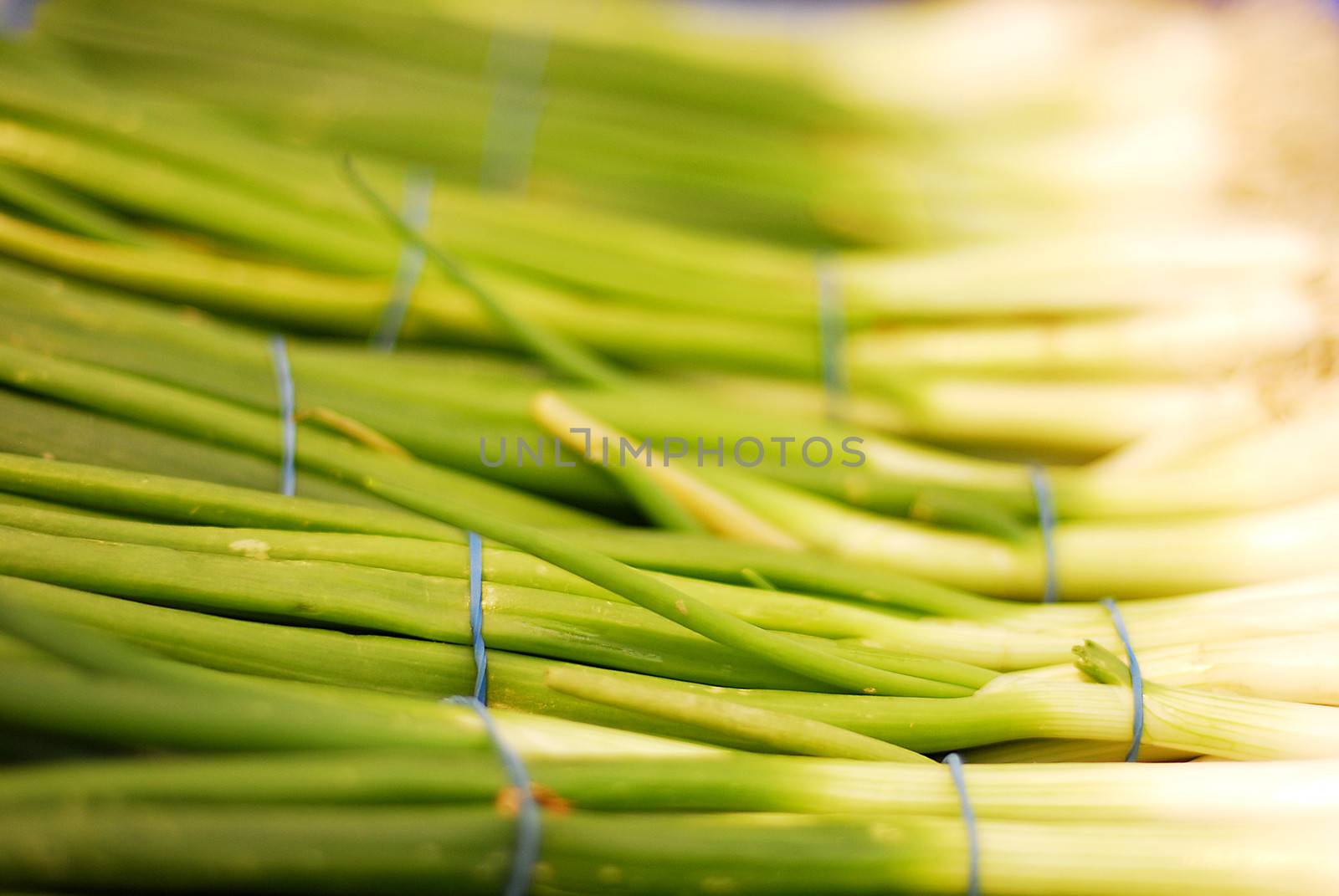 Spring onions by stockyimages