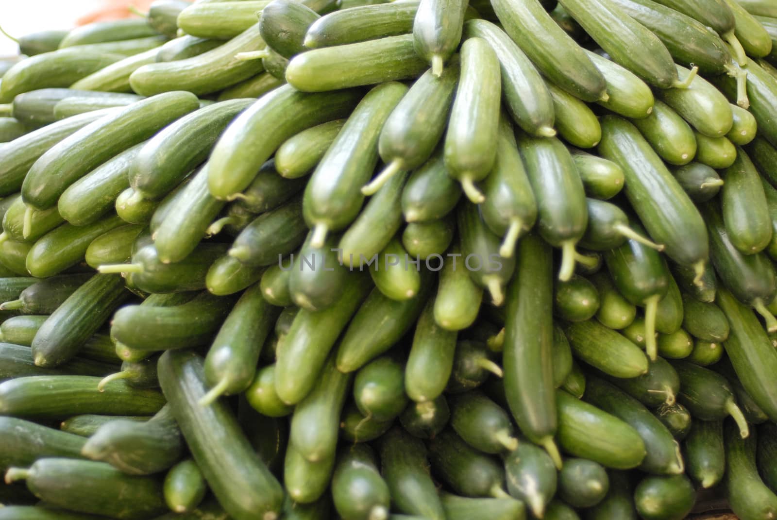 Cucumbers bunched together for sale at market by stockyimages
