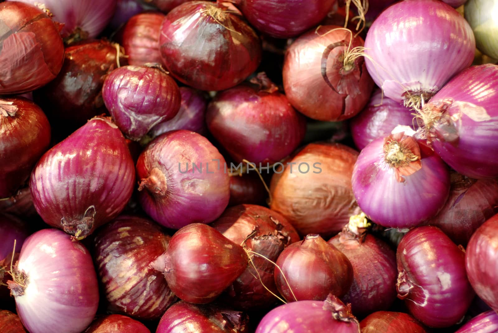 Onions, earth treasures. Marketplace shot