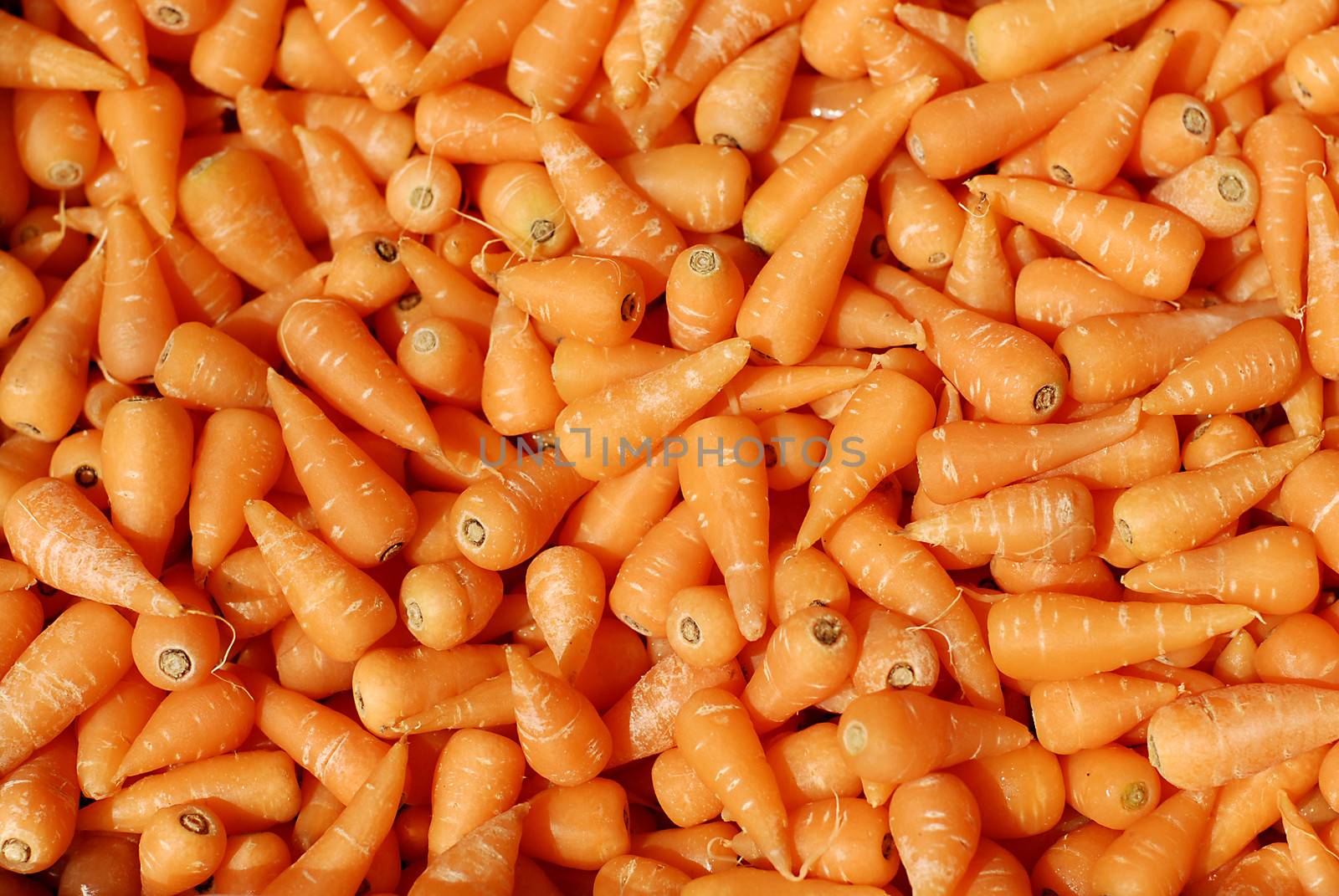 A closeup shot of fresh young carrots for sale in a marketplace