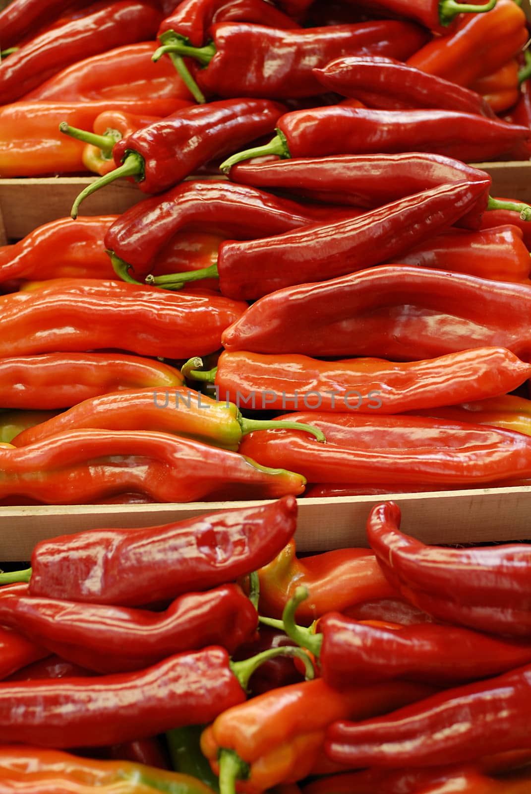 Red chilli peppers at market stall, close-up by stockyimages