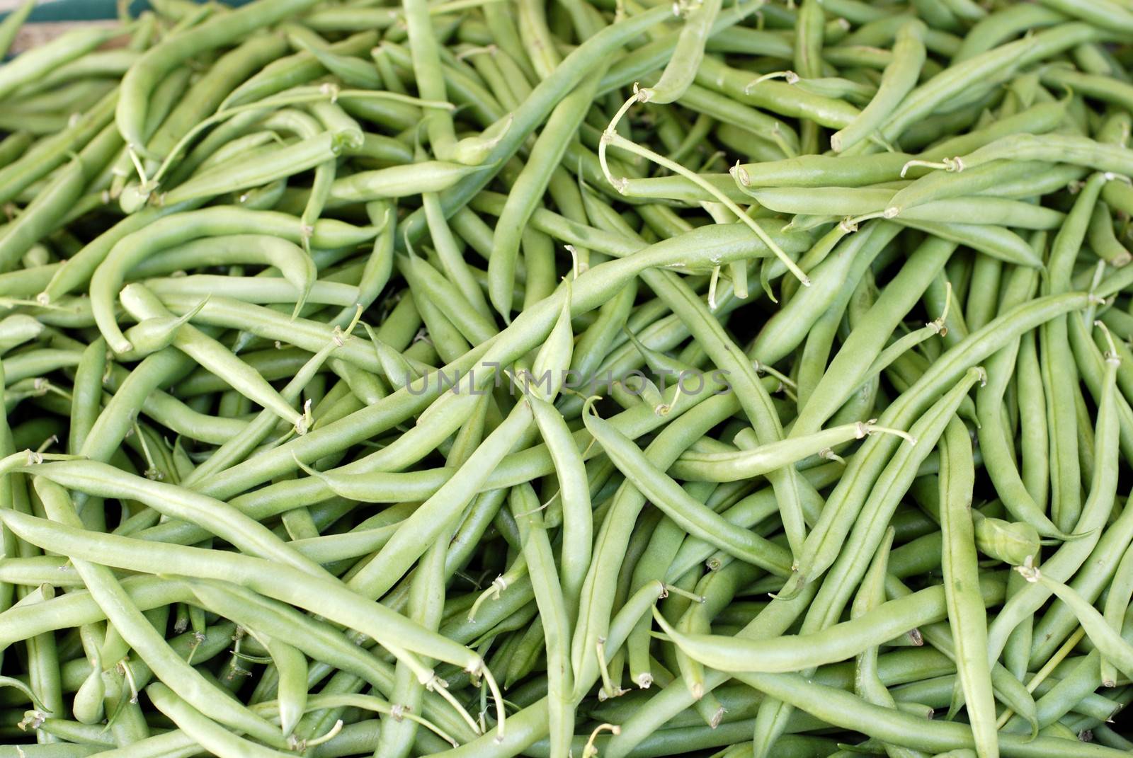 Horizontal photo of pile of just harvested green beans at farm market