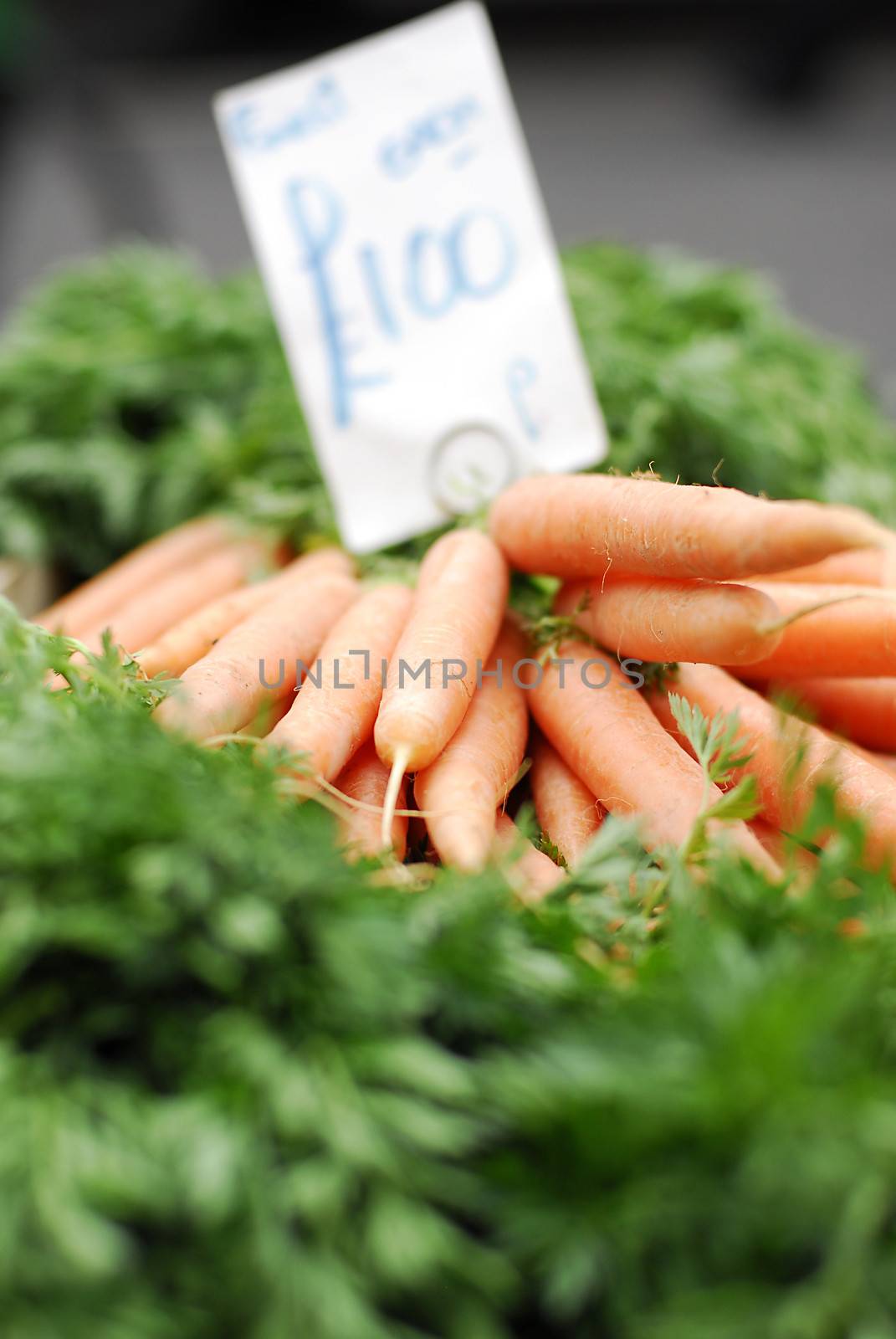 Closeup shot of fresh carrots in focus with price-tag on grass