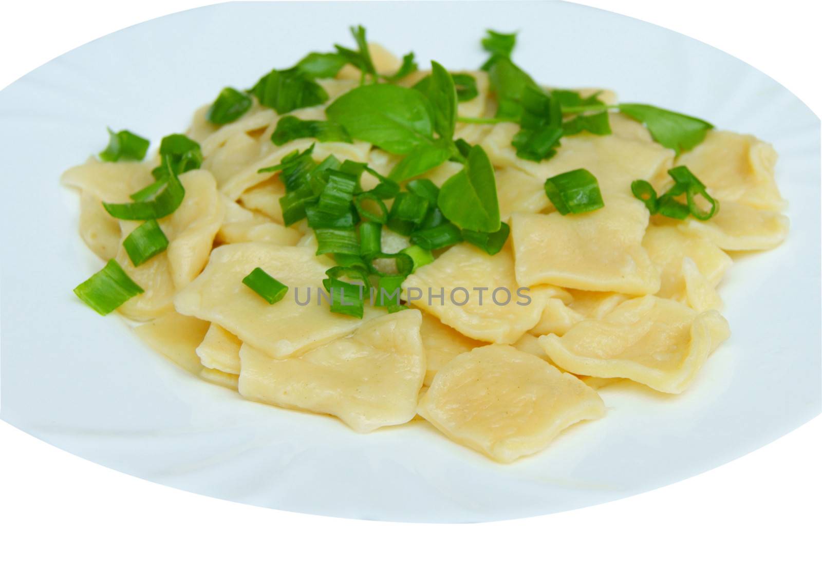 Dumplings with salad on plate on white background