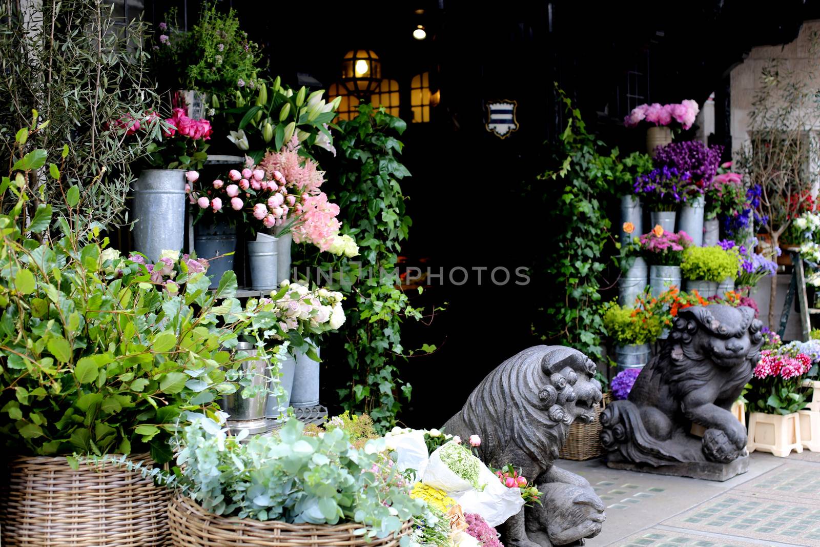 Flower Shop Great Marlbourgh Street London by Whiteboxmedia