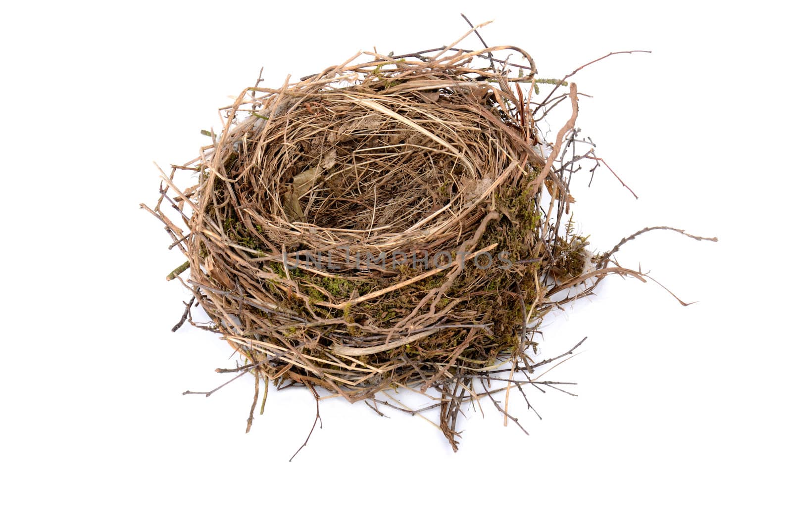 empty birds nest by hyrons