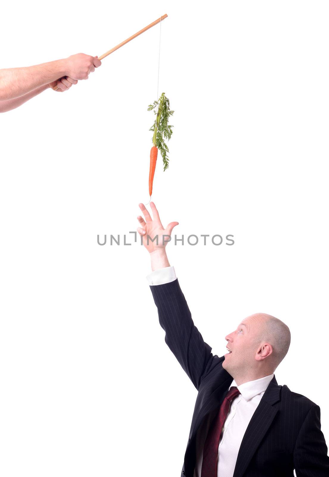 motivation of dangling a carrot on a stick isolated on white