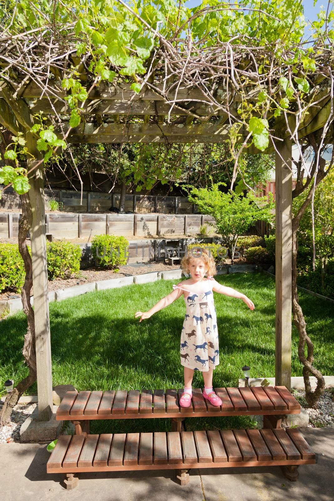 Walking around and playing in the garden on sunny spring day.