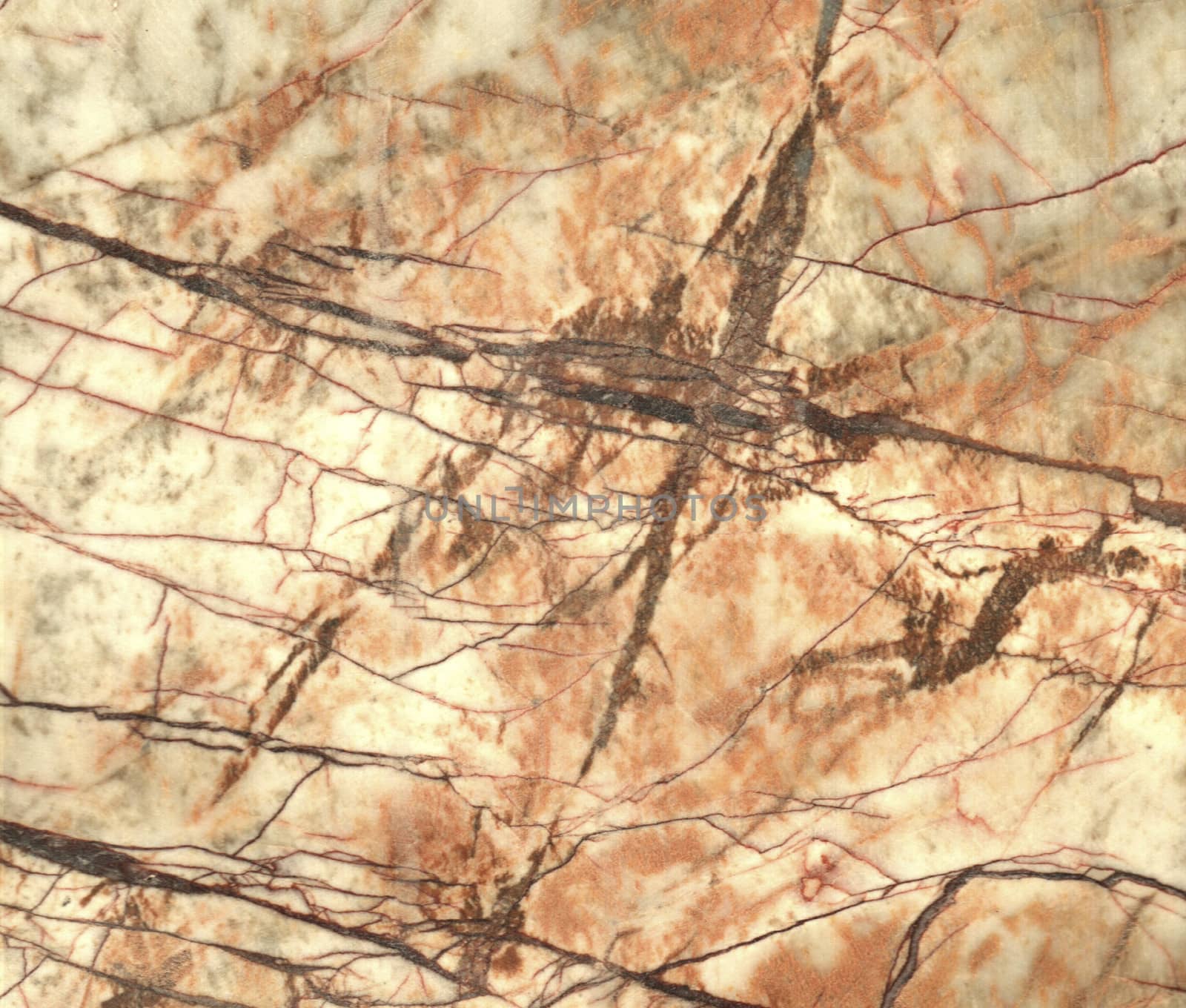 Brown marble texture background (High resolution scan)