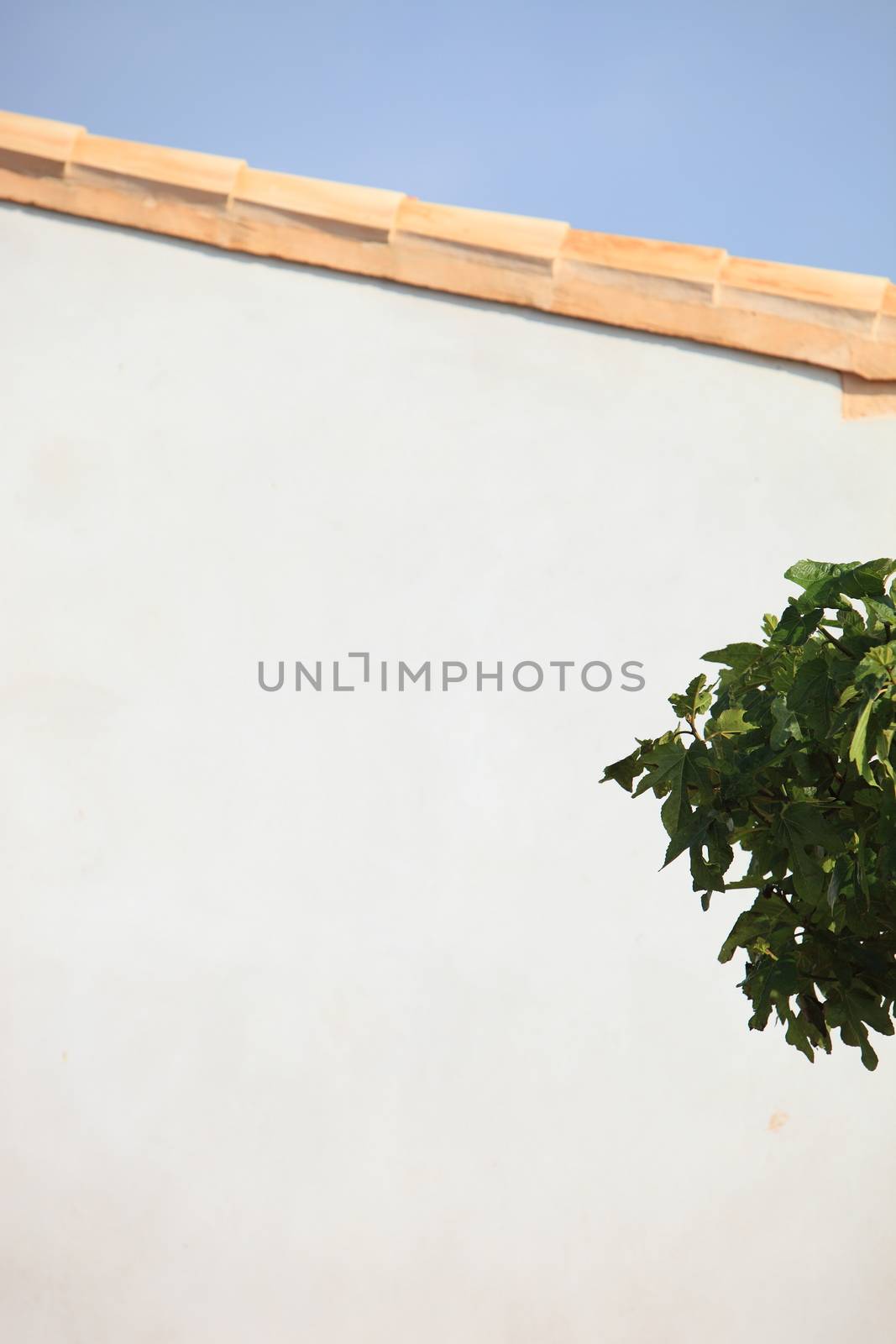 Blank exterior painted white wall of a building with tiles on top and a small green tree under a sunny blue sky with plenty of copyspace for text