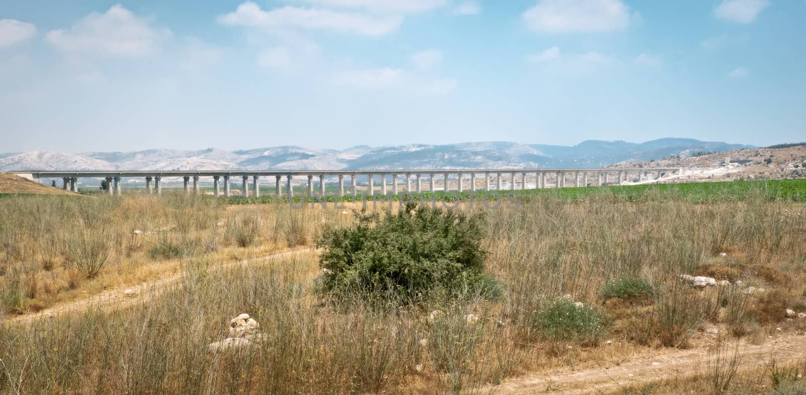 Summer field plateau near Jerusalem hills . Bridge. Israel .