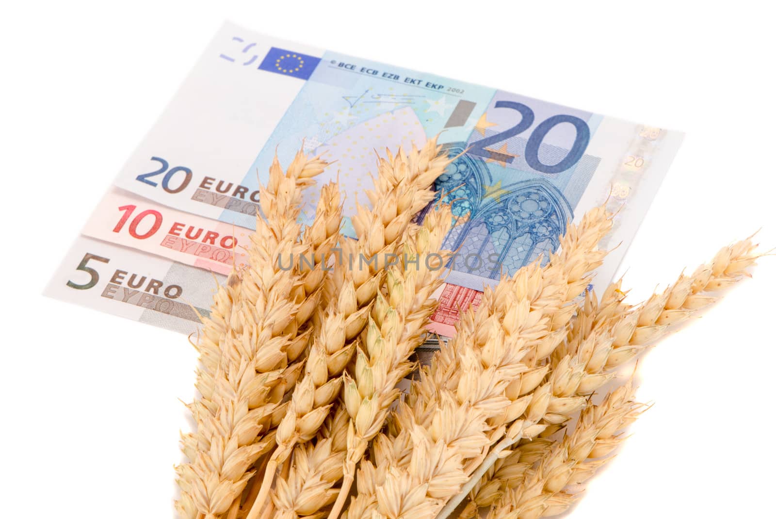 wheat ripe harvest ears euro banknotes isolated by sauletas