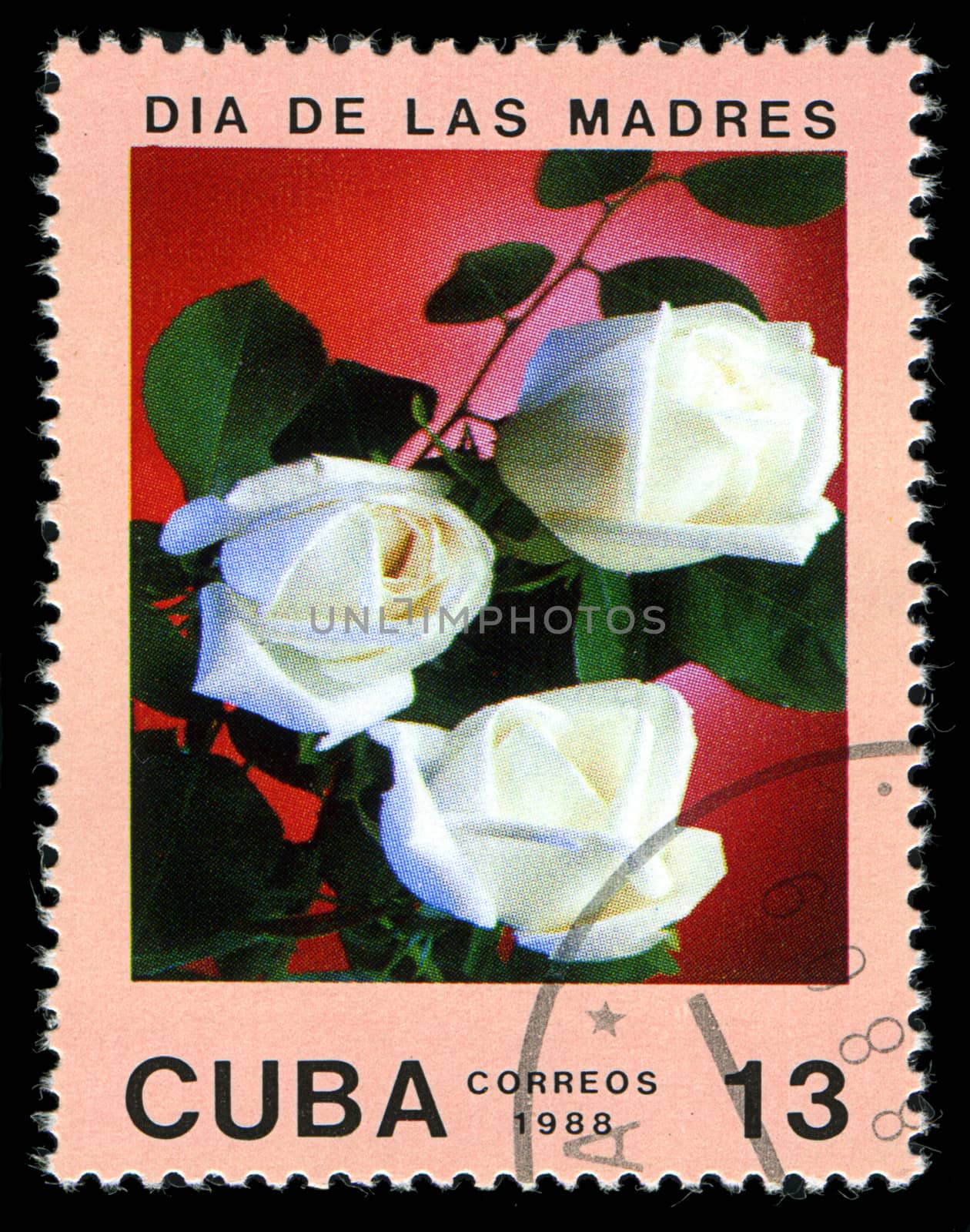 CUBA - CIRCA 1988: A post stamp printed in Cuba divided to Mother's Day and shows  rose , circa 1988 by Zhukow