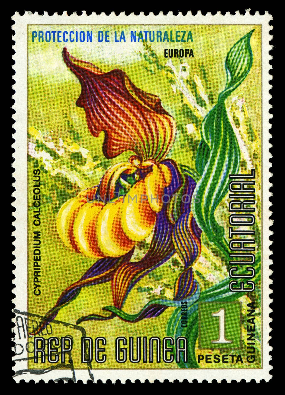EQUATORIAL GUINEA - CIRCA 1974: A stamp printed in Equatorial Guinea shows Cypripedium Calceolus, series is devoted to flowers, circa 1974 by Zhukow