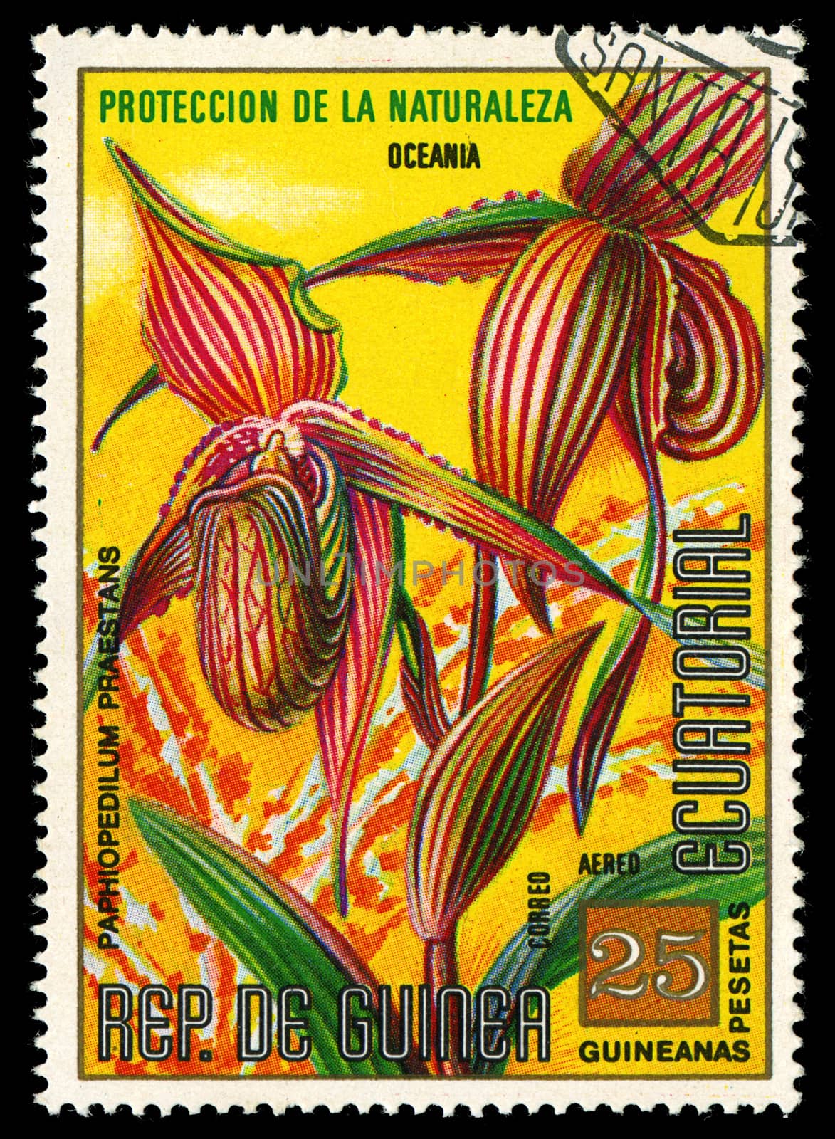 EQUATORIAL GUINEA - CIRCA 1974: A stamp printed in Equatorial Guinea shows Paphiopedilum Praestans, series is devoted to flowers, circa 1974 by Zhukow