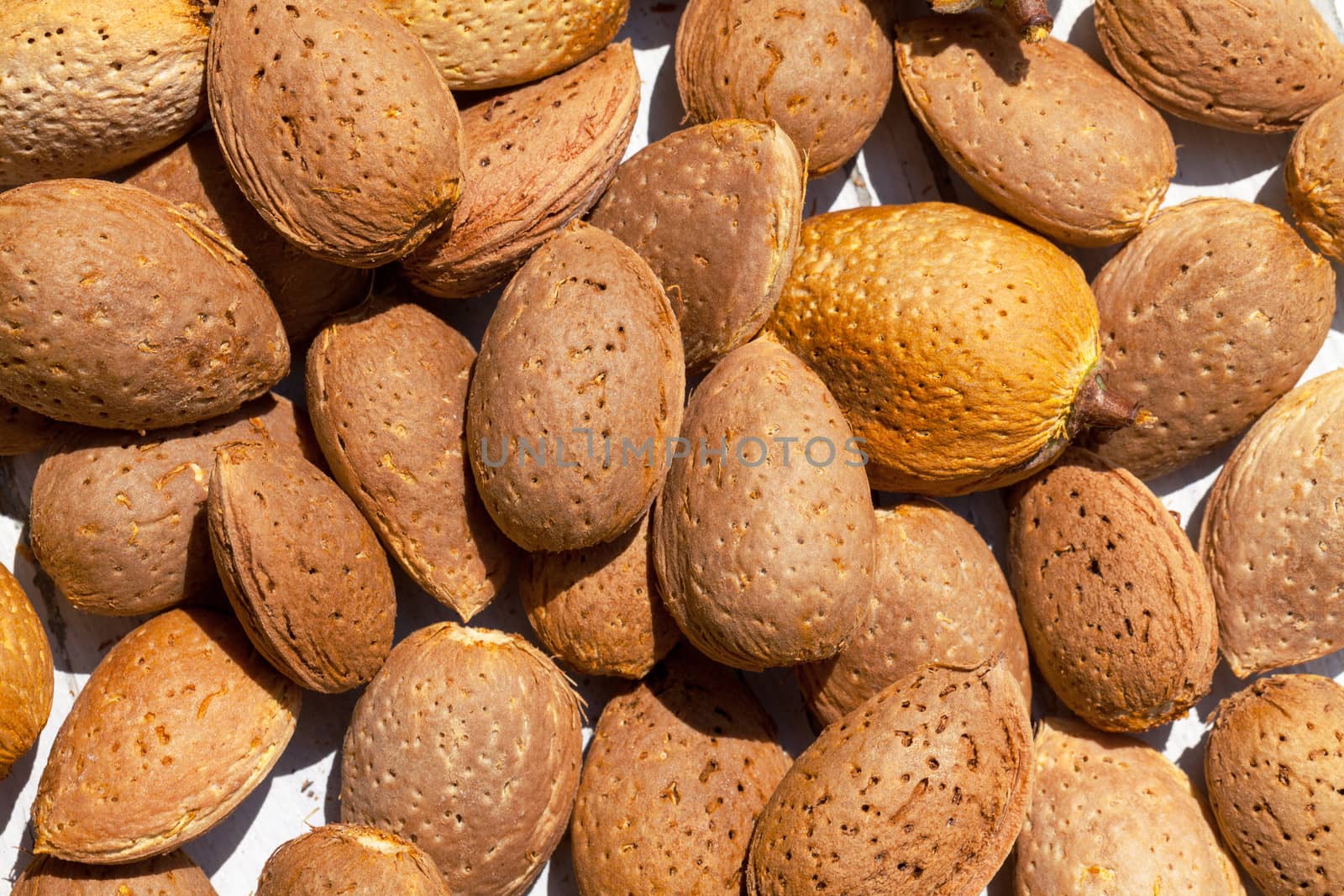 Almonds unpeeled nuts on white wooden background by Discovod