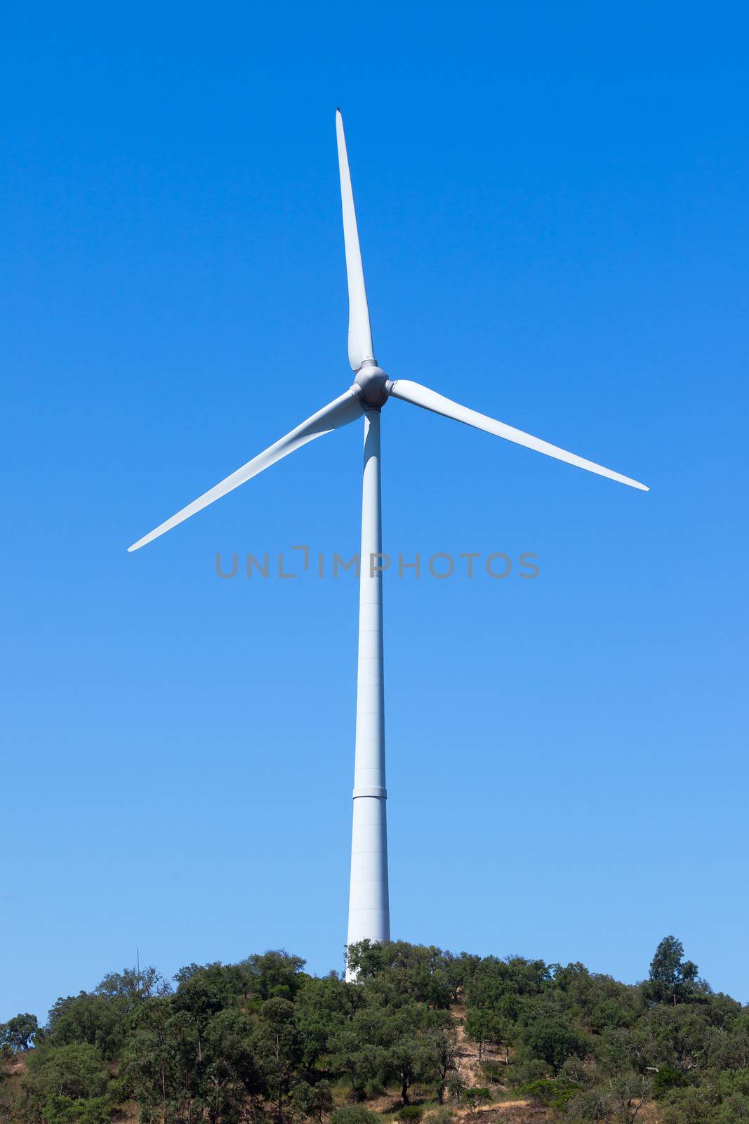 Wind electric generator against blue sky by Discovod