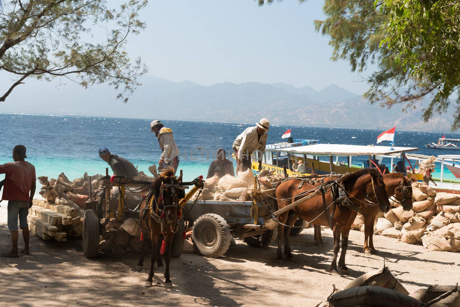 GILI TRAWANGAN, INDONESIA - SEP 15: Cement  loading on horse carriages on Sep 15,2012 in Gili Trawangan island, Indonesia. On the small island there are no any transport but horse carriage. 