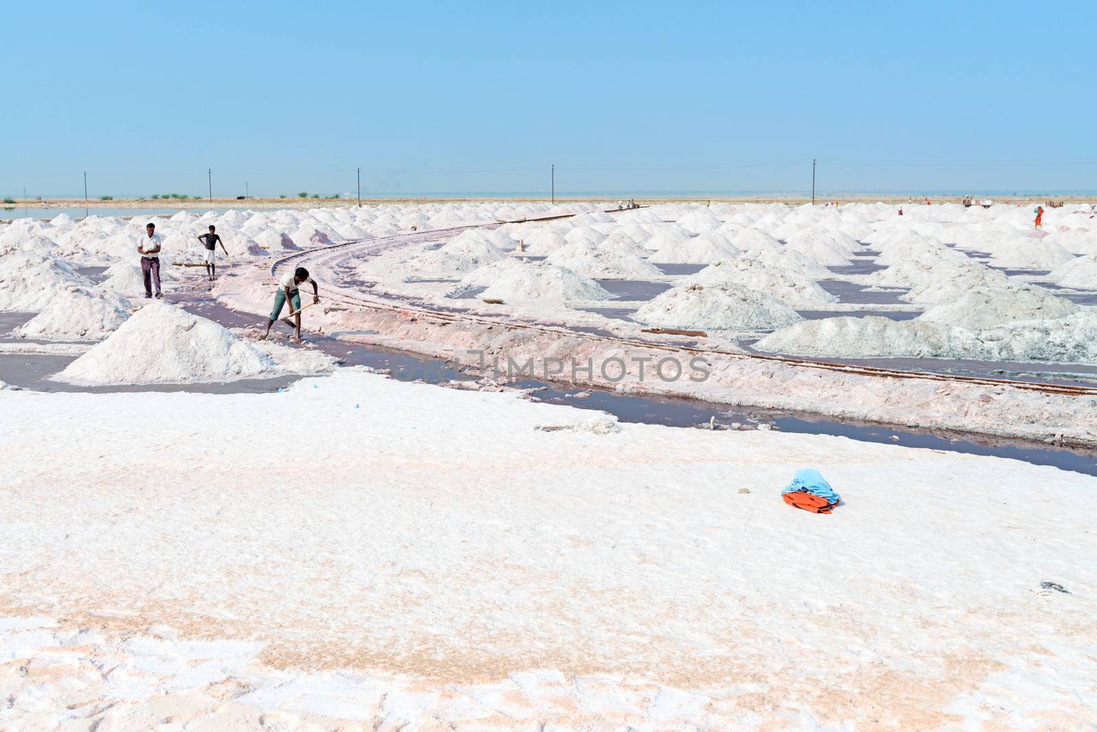 SAMMBHAR SALT LAKE, INDIA - NOV 19: Workers collect salt in salt farm on Nov 19, 2012 in Sambhar Salt Lake, India. It is India's largest saline lake where salt has been farmed for a thousand years. 