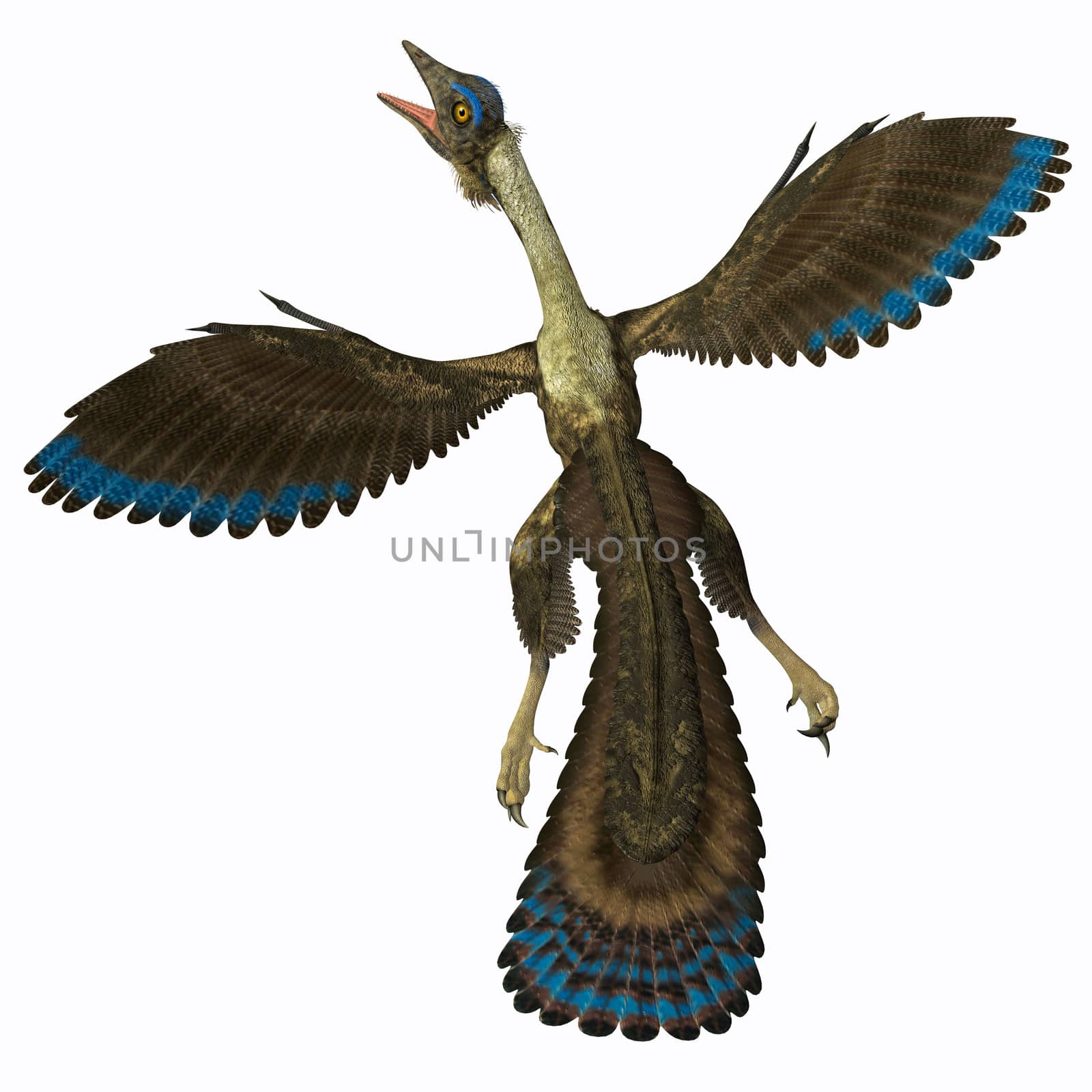 Archaeopteryx is known as the earliest bird and was a bridge species between dinosaurs and modern birds.