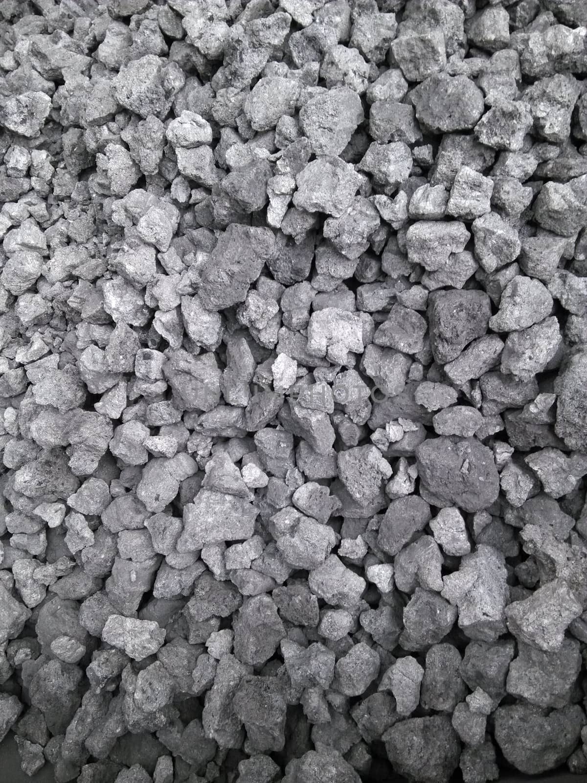 coke