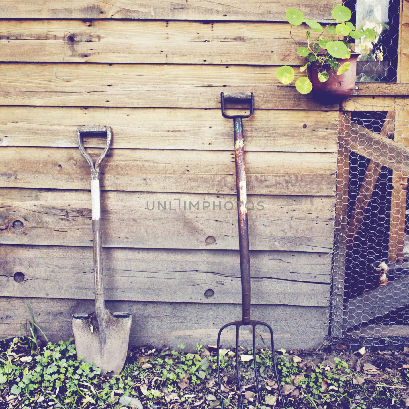 Gardening tools with retro filter effect