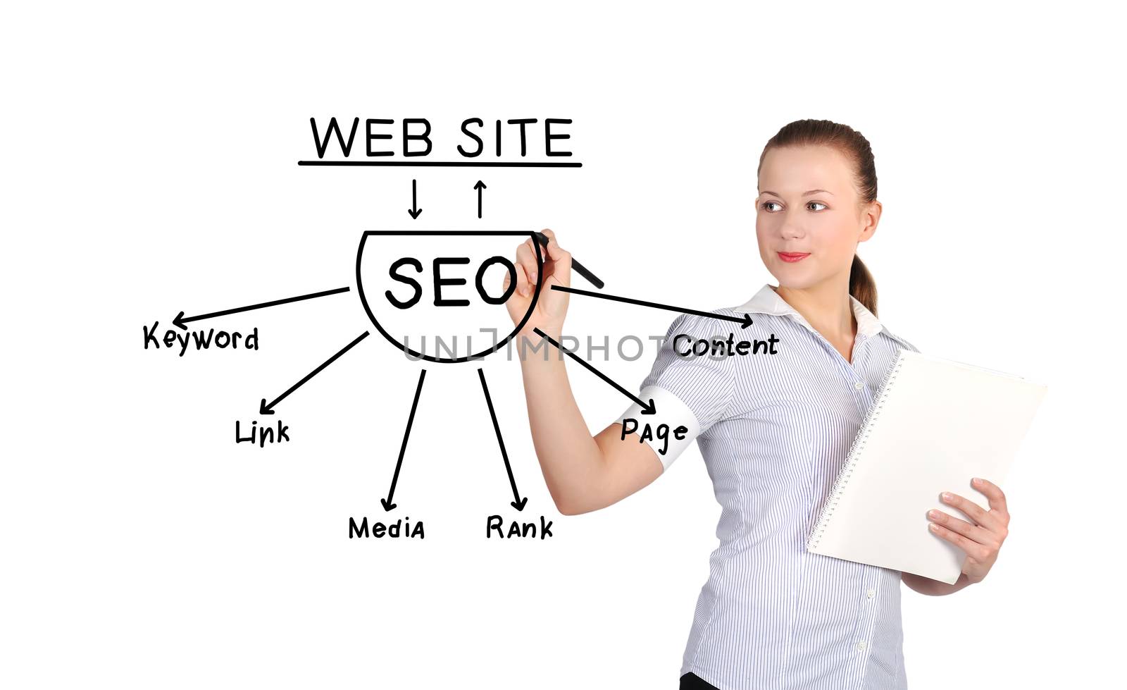woman drawing seo scheme on a white background