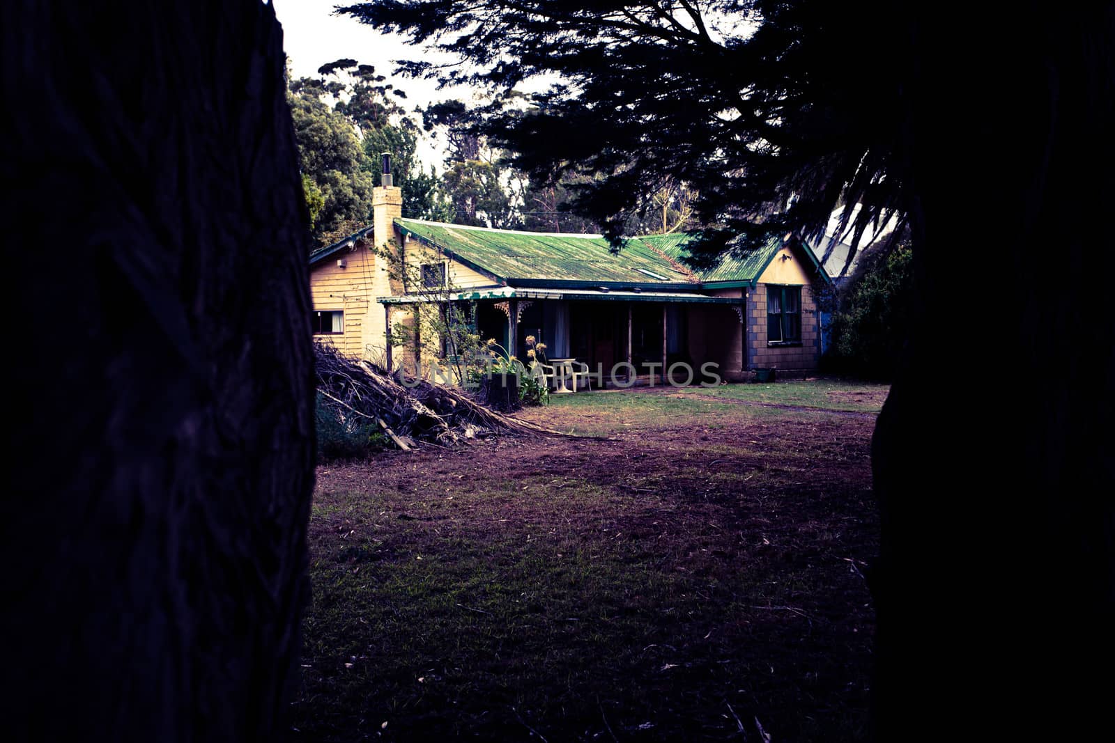 Dark toned image of an old rural farmhouse with an iron roof viewed from between two tree trunks