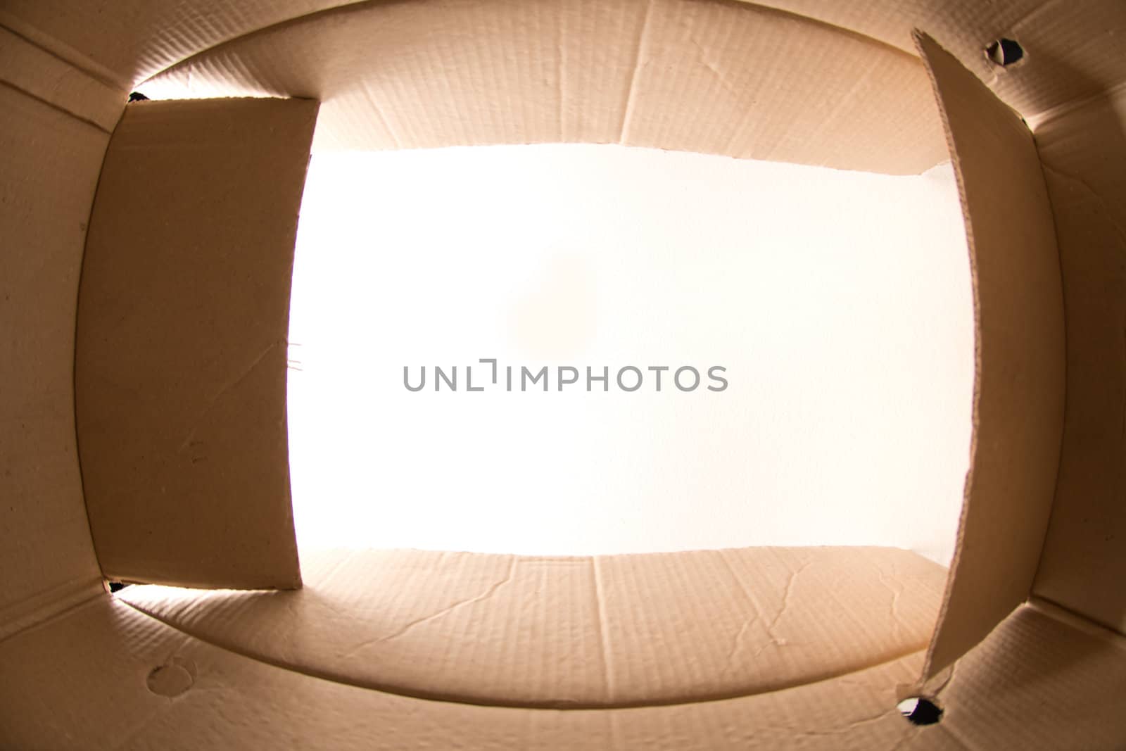 Cardboard box inside shot on white background