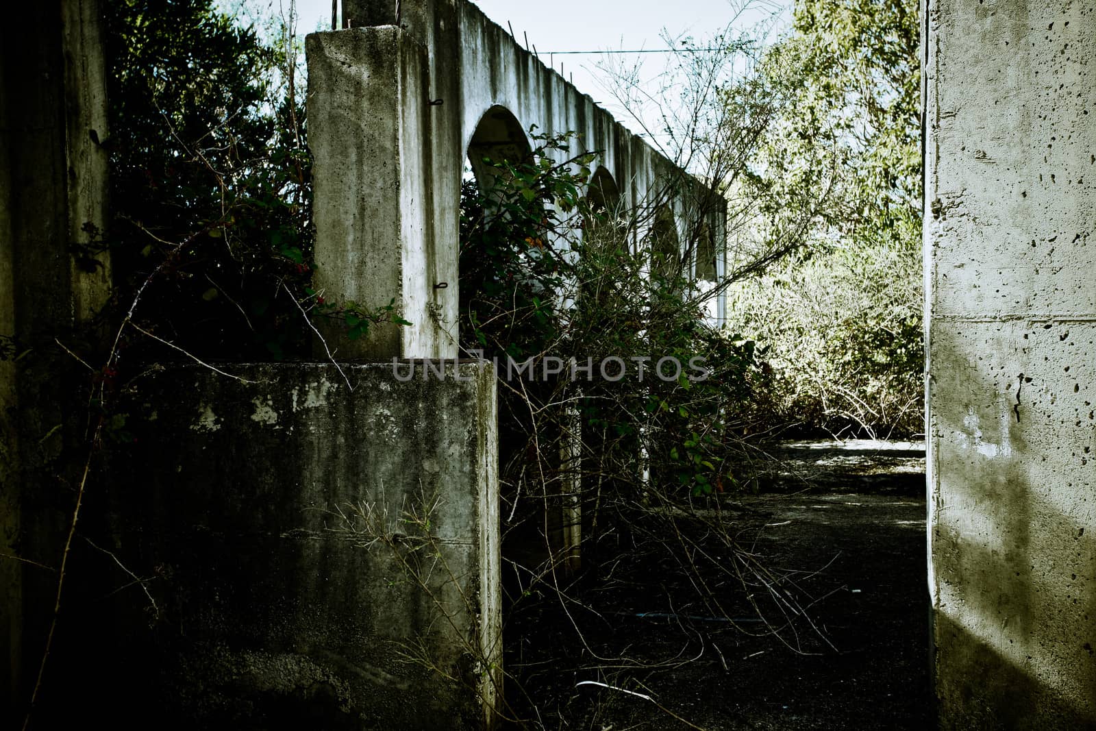 Old stained arched wall of an abandoned rural building slowly being enveloped in vegetation