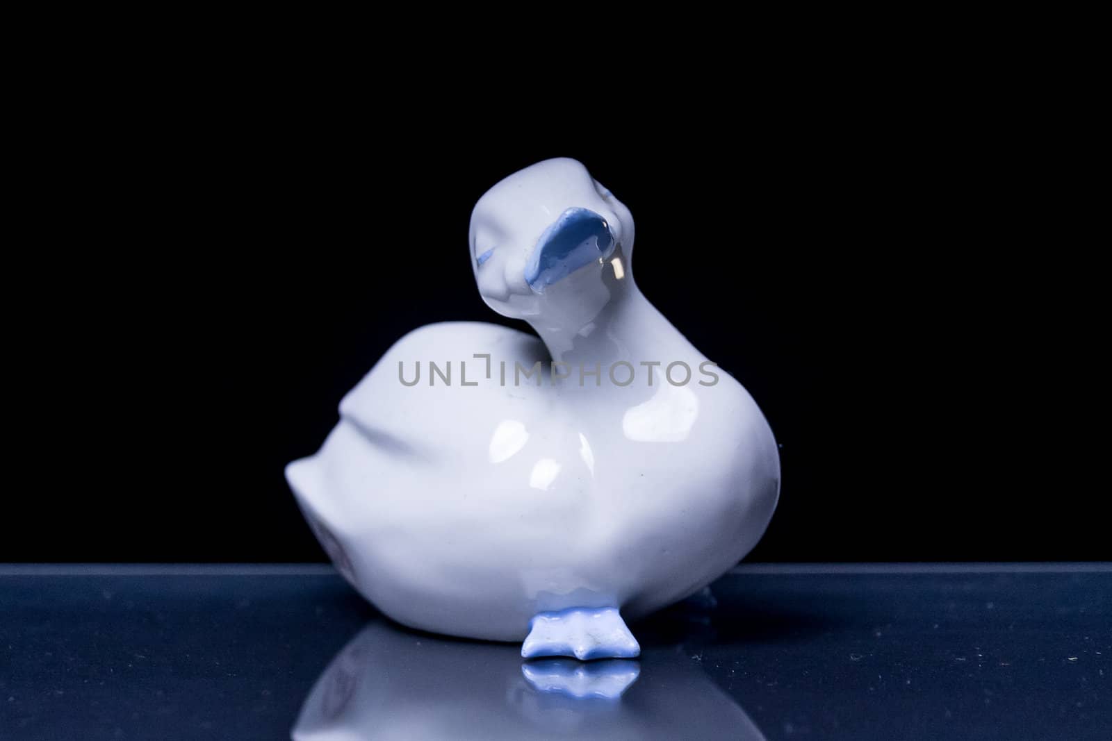 a white porcelain duck with light blue inserts standing on a reflective black surface with black background