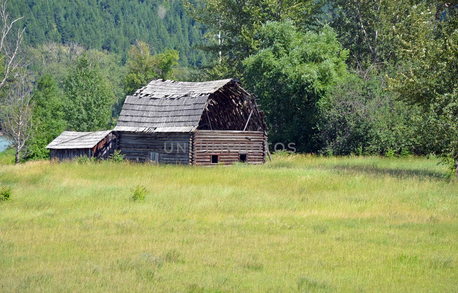 Old abandoned wooden barn in grassy meadow