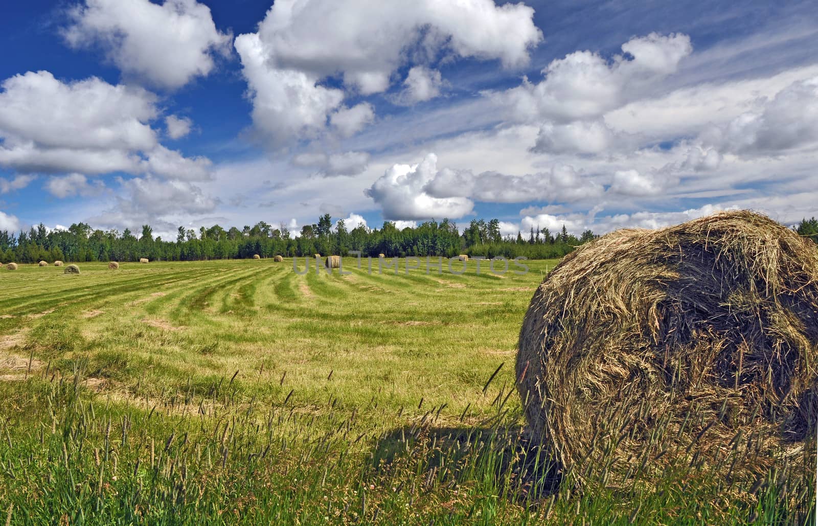 Bales of hay on ranch with clouds and sky in background