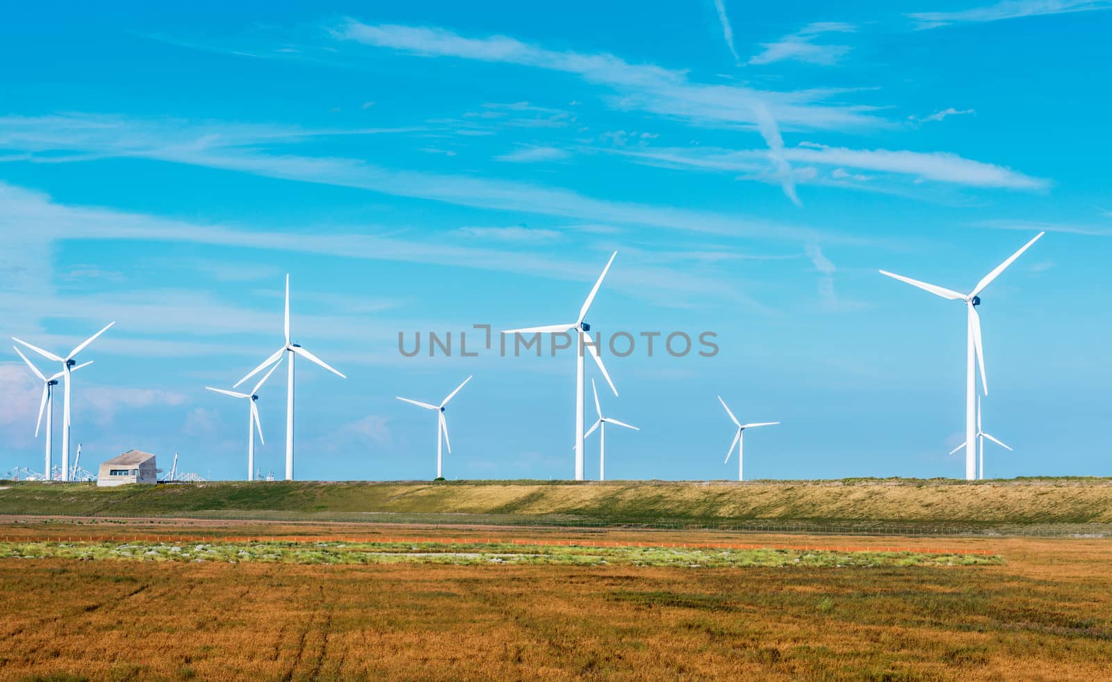 windmill on the maasvalkte industrial area by compuinfoto