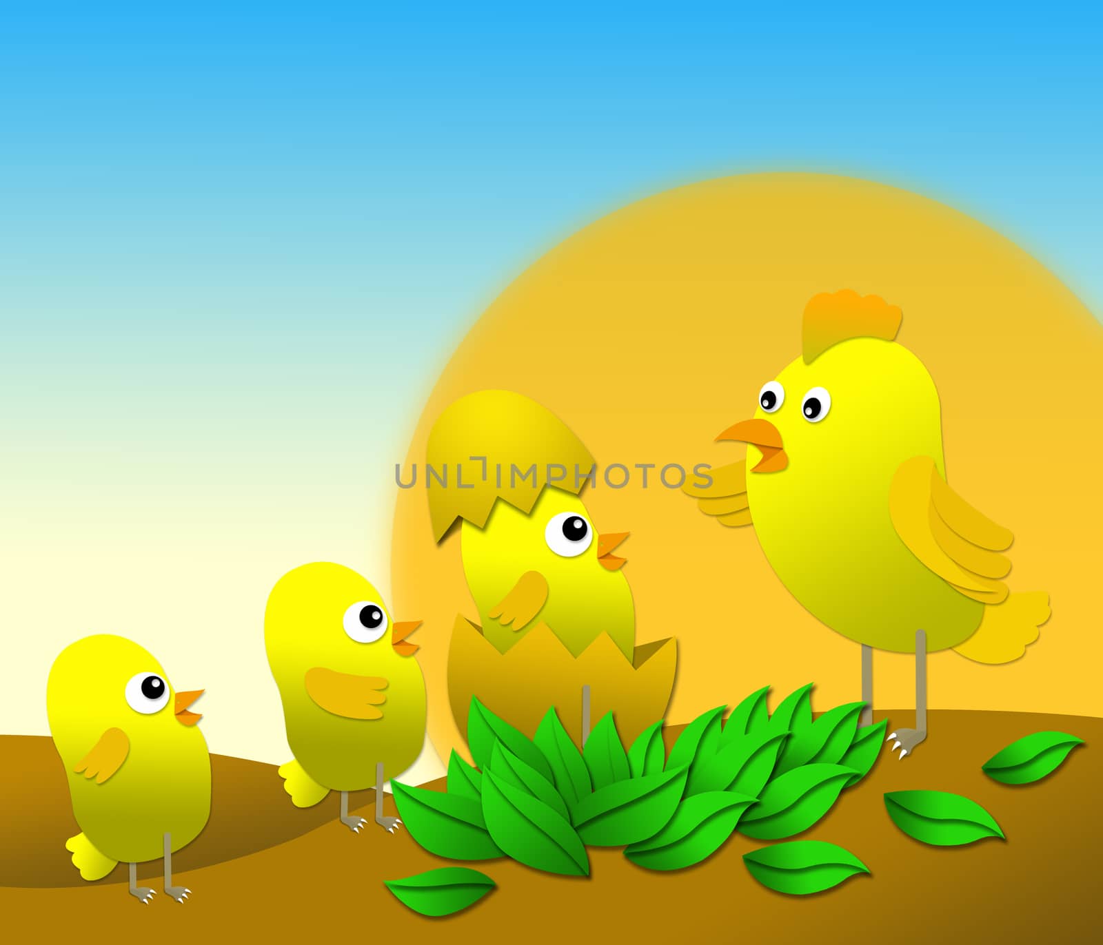Illustrator of yellow chicken family 