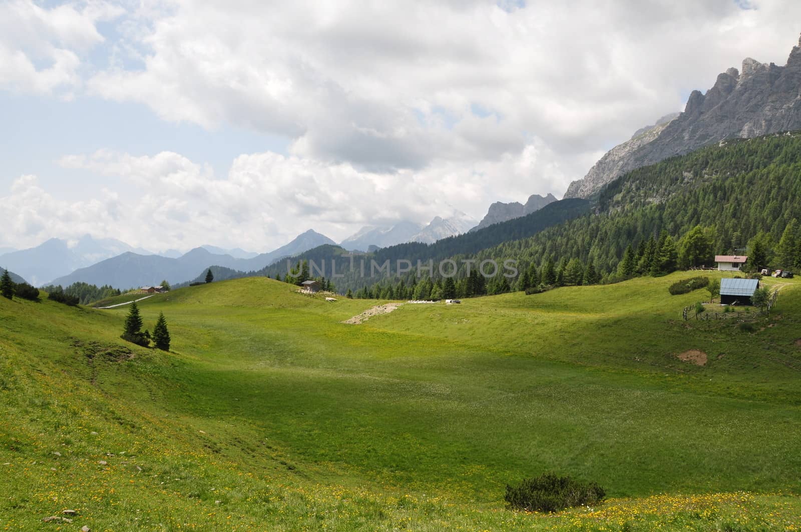 near refuge ciairedo in dolomites mountain