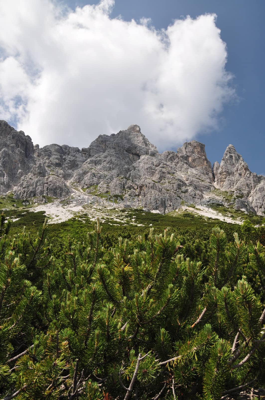 near refuge ciairedo in dolomites mountain