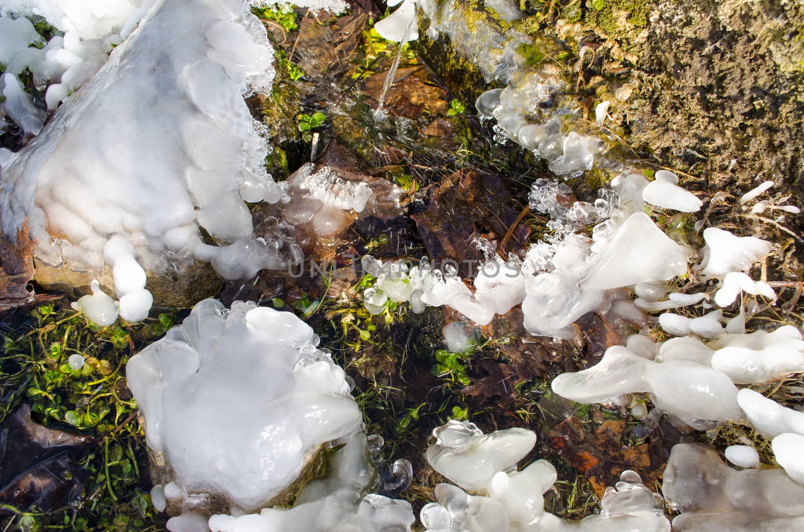 frozen water drops on the grass near small waterfall.