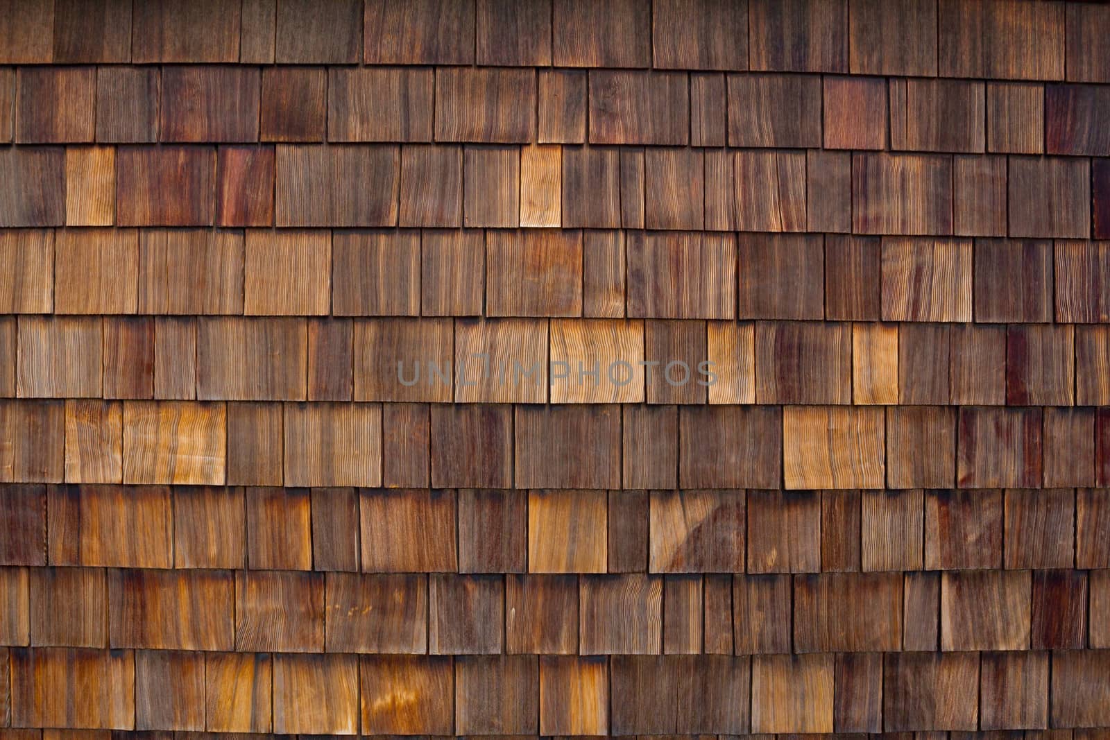 Wood Texture Abstract by joshuaraineyphotography