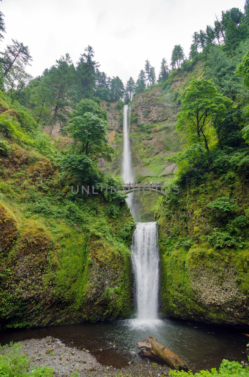 Multnomah Falls in late Spring with the footbridge visible