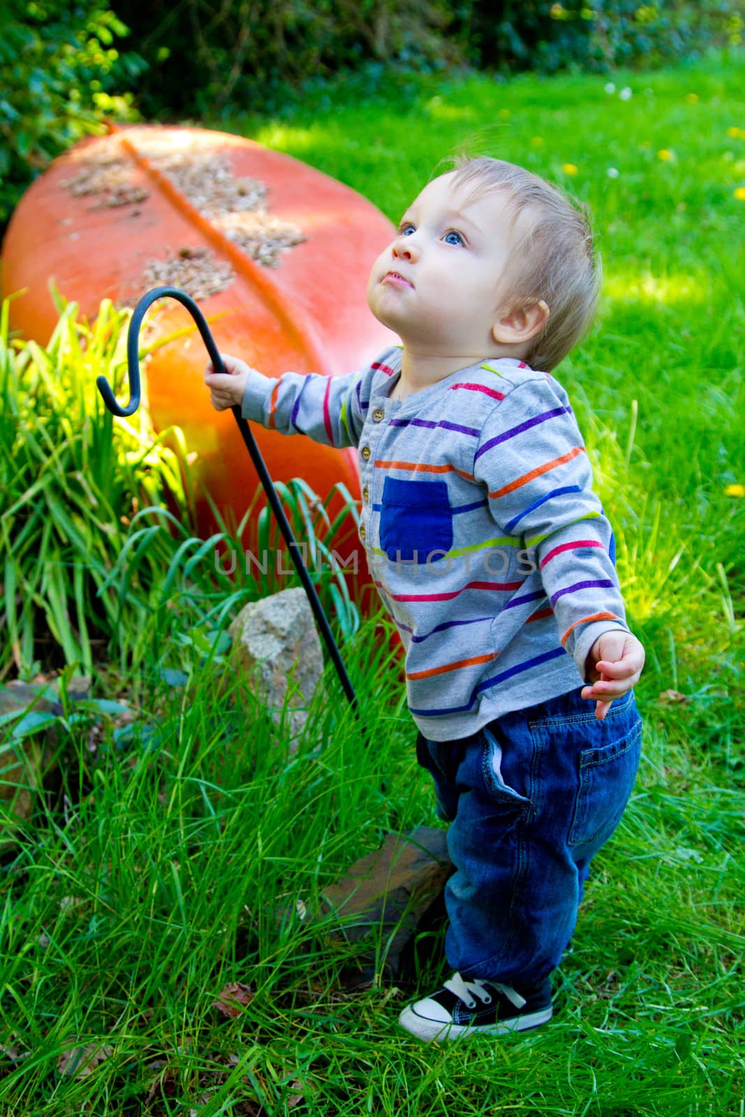 A very curious one year old toddler boy explores his backyard and plays with interesting things among the grass and plants.