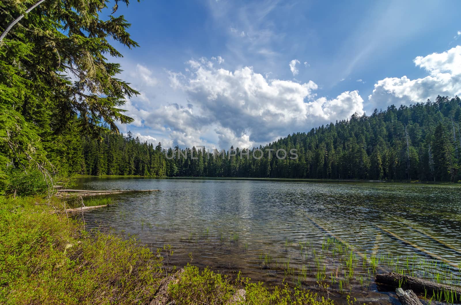 Upper Twin Lake in the Mt. Hood National Forest