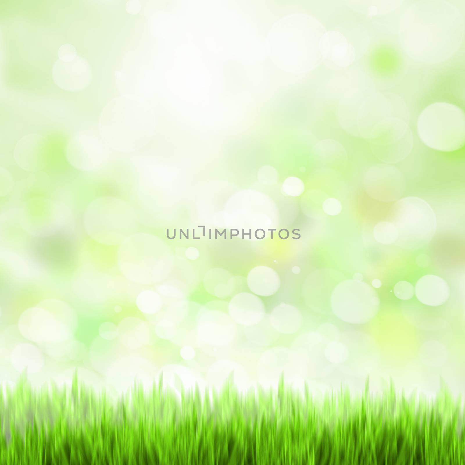 Green summer meadow with sun glare and rays