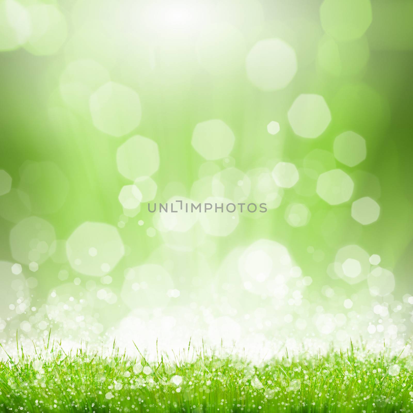 Green summer meadow with sun glare and rays