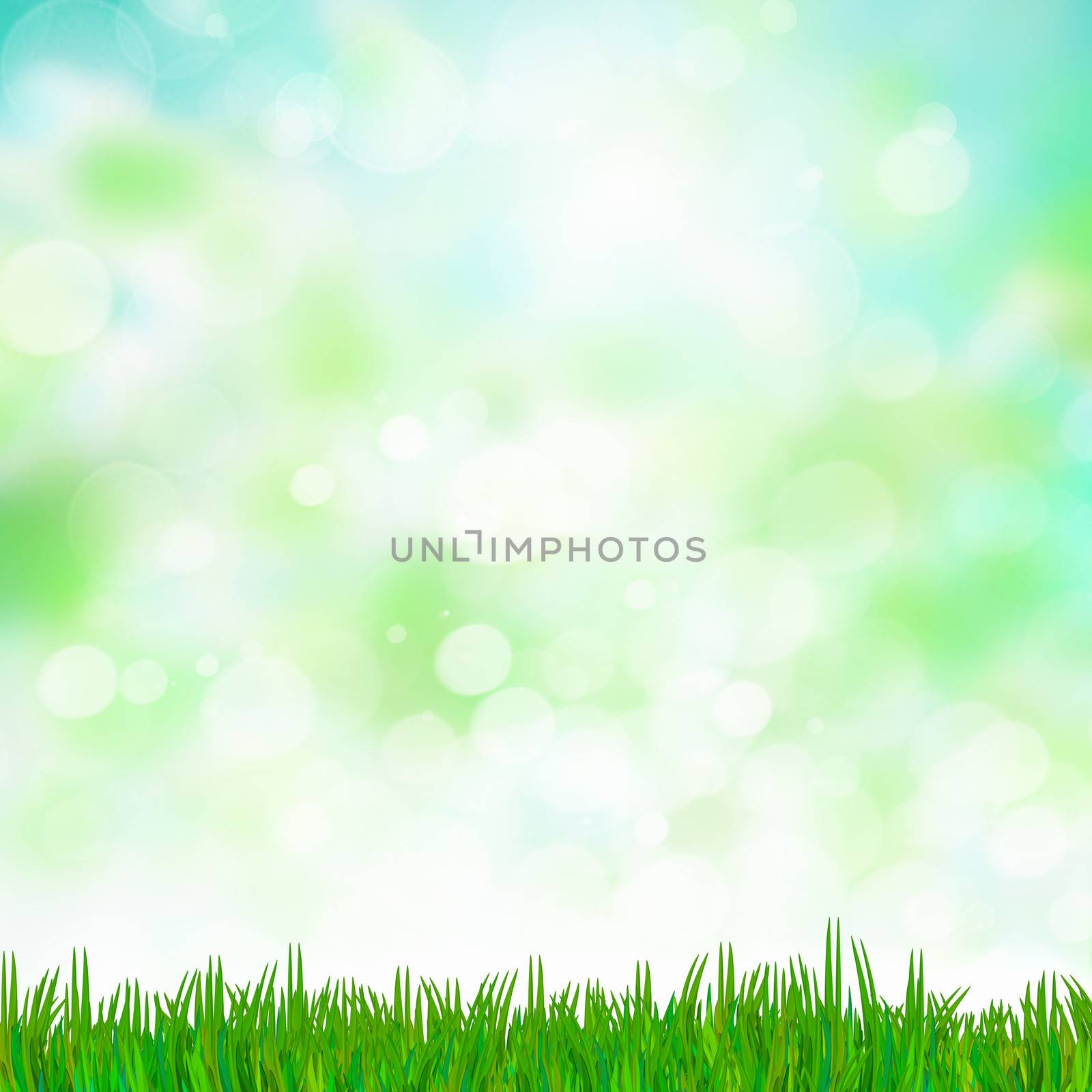 Green summer meadow with sun glare and rays