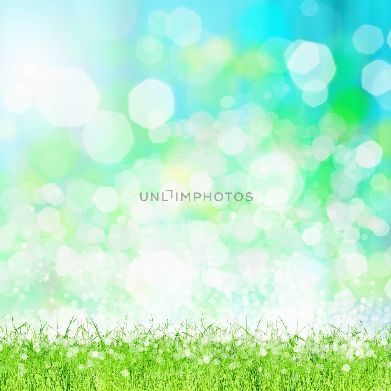 Green summer meadow with sun glare and rays